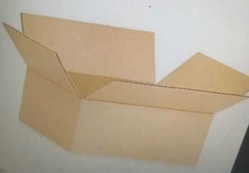 Paper Long Lasting Corrugated Box