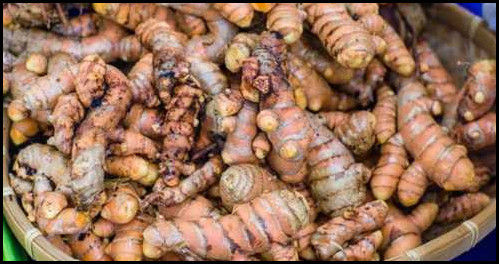 Fresh 100% Natural Black Turmeric