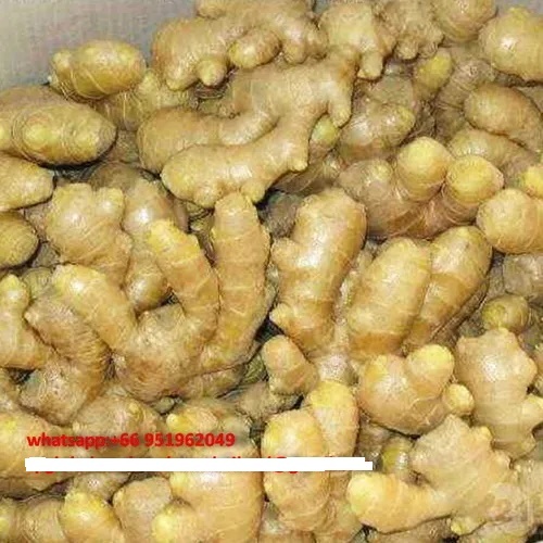 Farm Fresh Ginger Extract