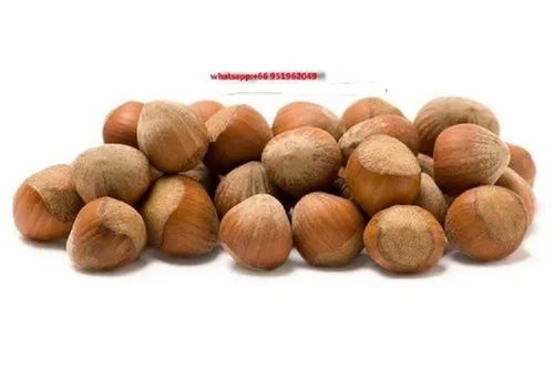 Common Natural Dried Brown Hazelnut