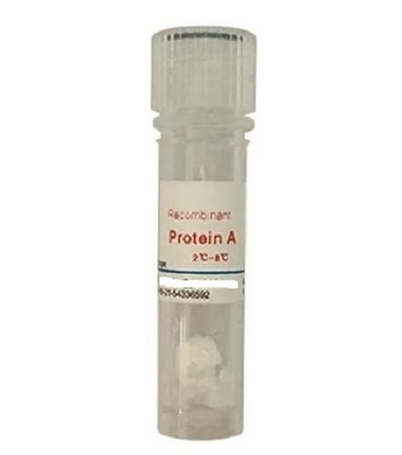 Recombinant Protein A