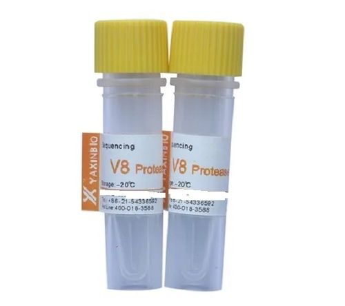 Sequencing Grade V8 Protease