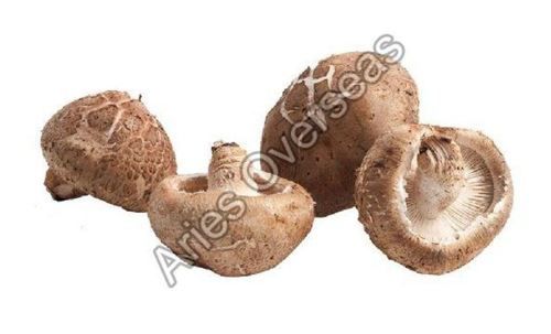 Fresh Shiitake Brown Mushroom