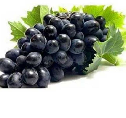 A Grade Farm Fresh Black Grapes