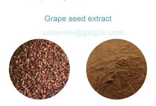 Natural Grape Seed Extract Grade: Food Grade/ Medical Grade