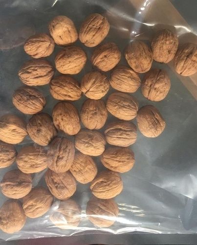 Pure Natural Chilean Walnut