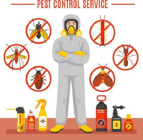 Pest Control Service By RK Pest Control