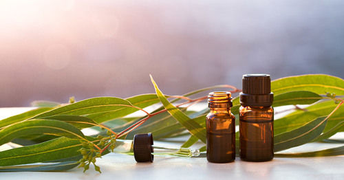 Pure Eucalyptus Essential Oil Age Group: All Age Group