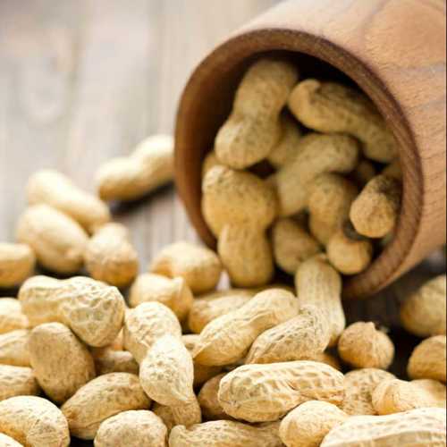 Raw Groundnuts Kernel With Shell Broken (%): 0.5%