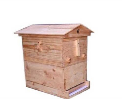 Bee Box For Bee Keeping Beekeeping