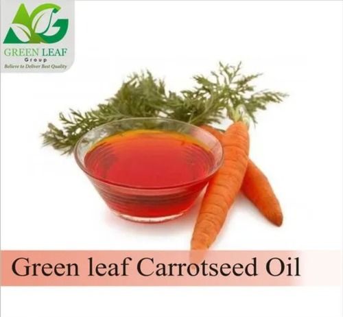Green Leaf Carrot Seed Oil