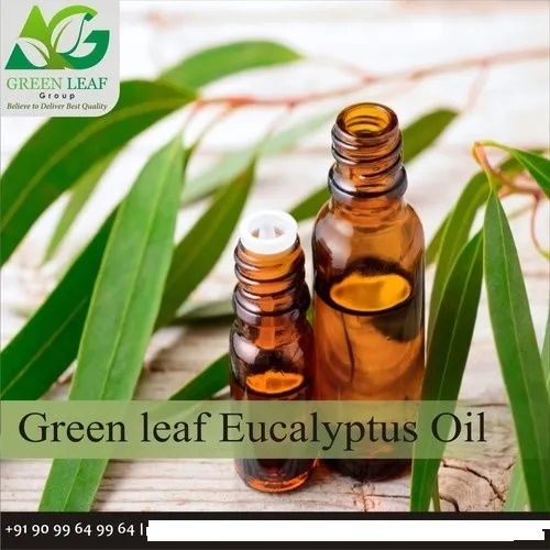 Green Leaf Eucalyptus Oil