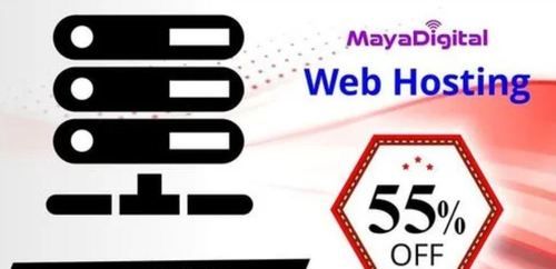 Professional Web Hosting Service