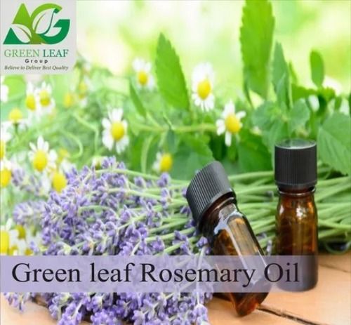 Rosemary Essential Oil Purity: High