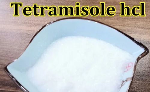 टेट्रामिसोल हाइड्रोक्लोराइड पाउडर आवेदन: फार्मास्युटिकल उद्योग