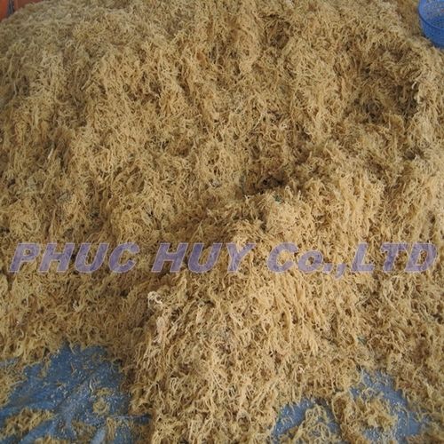 Wholesaler Dried Raw Eucheuma Cottonii