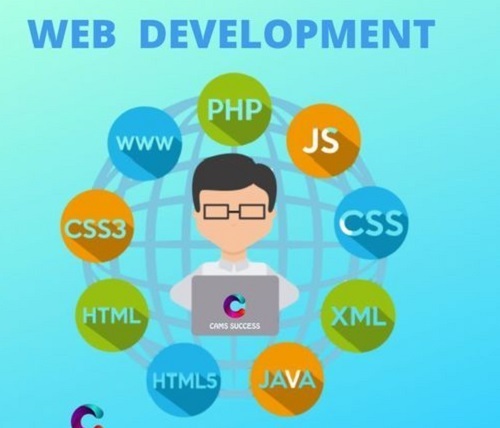 Web Development Service Provider By Cams Success
