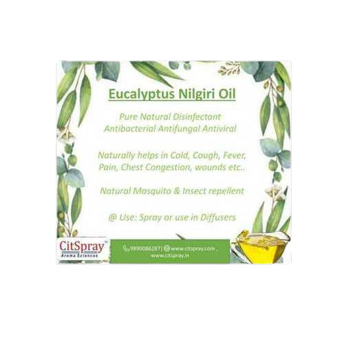 Best Price Natural Pure Eucalyptus Oil Shelf Life: 10 Years