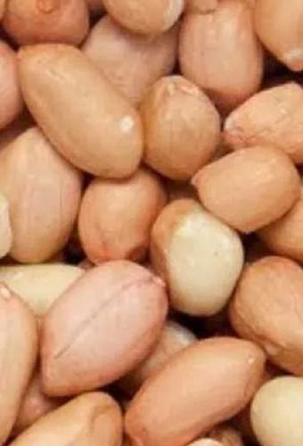 Common A Grade Plain Dried Peanuts