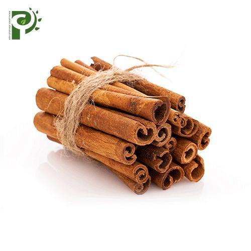 Vietnamese Cinnamon Stick