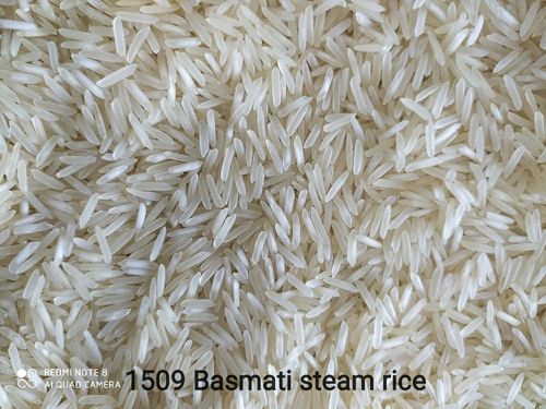 White 1509 Basmati Steam Rice