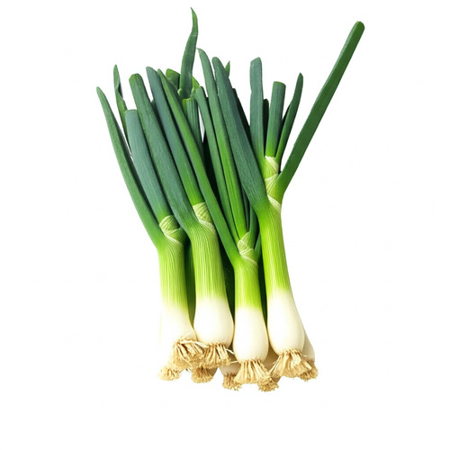 ऑर्गेनिक और नेचुरल फ्रेश ग्रीन अनियन शेल्फ लाइफ: 1 महीने