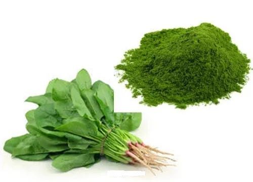 Spinach Powder