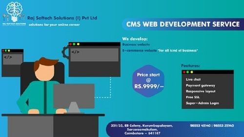 CMS Web Development Service Provider By Raj Softech Solutions India Pvt Ltd.