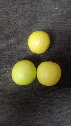 Fresh Natural Round Lemon