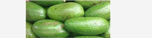 Organic Green Color Frozen Avocado