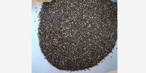 Black Color Chia Seeds