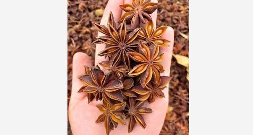 Dried Brown Star Anise Flower For Spices