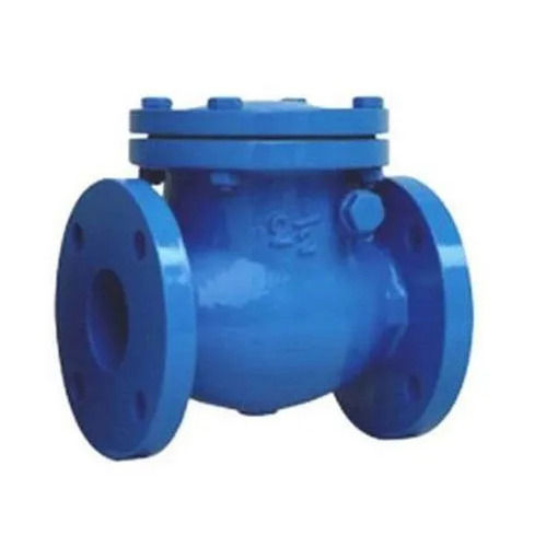 Cast Iron Swing Check Valves