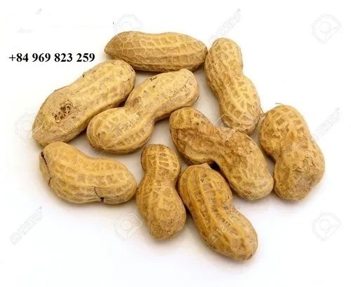 100% Natural Raw Peanuts