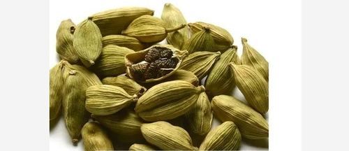 Green Color Dried Cardamom