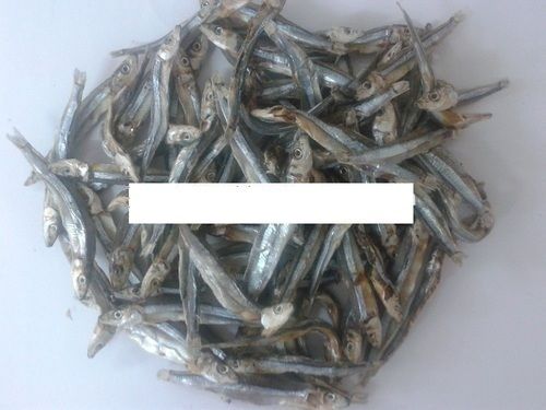 Piece Natural Dried Anchovy Fish