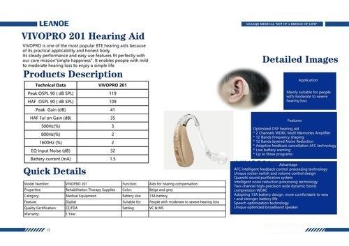 Bte Hearing Aid Amplifier Charge Time: 2 Hours