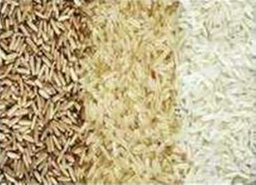 Organic Single Polished Rice