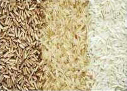 What Is The Difference Between Single Polish Rice And Brown