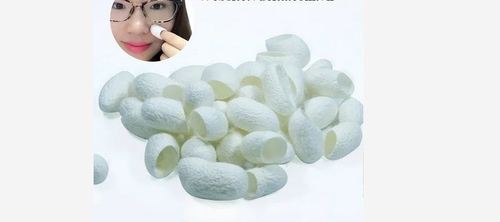 Silkworm Cocoon Shell Skin Care Cream - Whitening Formula, White Color For Radiant Skin