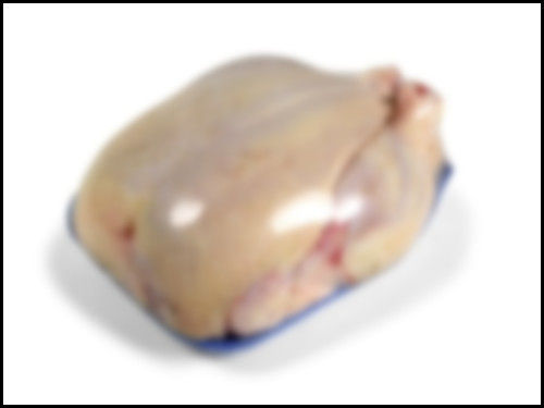 A Grade Whole Frozen Chicken Moisture (%): 65%