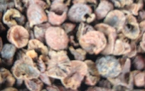 Dried Natural Areca Nuts