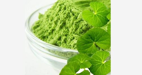 Natural Green Pennywort Powder