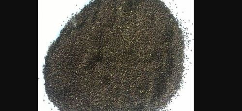 Ocimum Tenuiflorum Black Tulsi Seeds