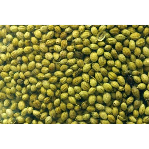 100% Pure and Unadulterated Impurity Free Coriander Seeds