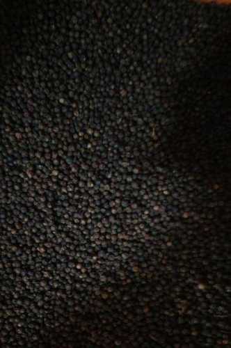 Wholesale Price Black Pepper