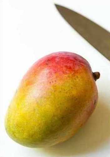 Delicious Sweet Kesar Mango