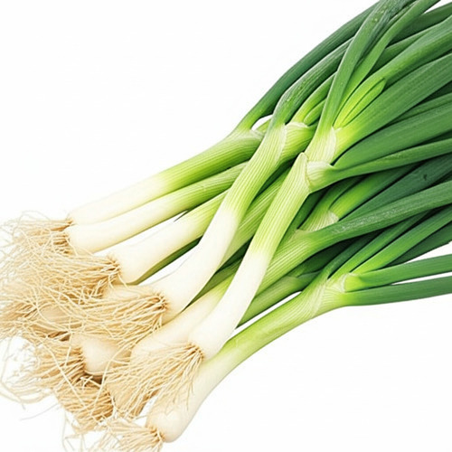 स्वस्थ और प्राकृतिक ताजा हरा प्याज नमी (%): 10%
