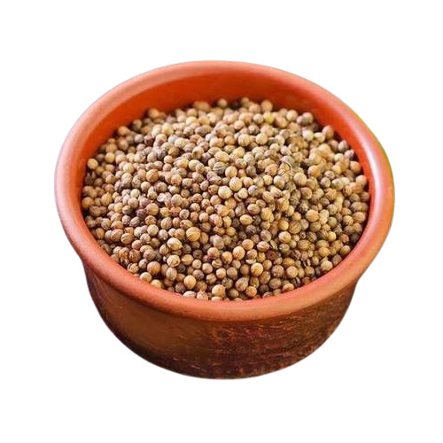 Organic Coriander Whole - Color: Light Brown