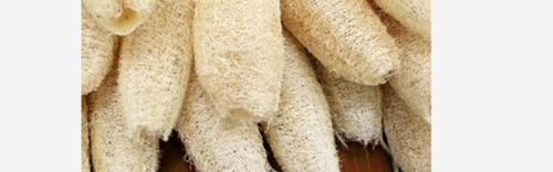 White Natural Dried Loofah Sponges